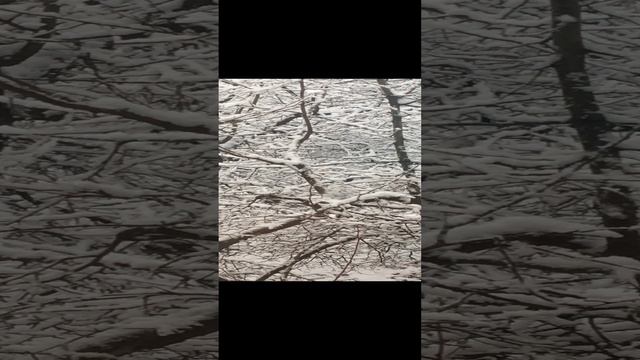 А за окном своя жизнь!