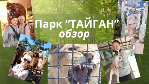 Обзор парка львов в Крыму "Тайган"