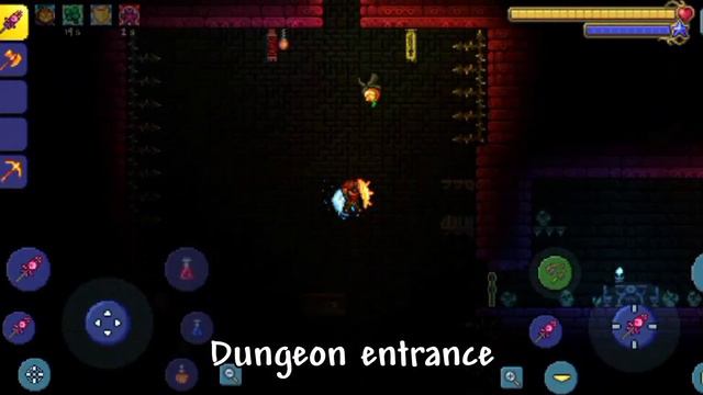 Terraria drunk seed be like