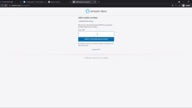DSGW-210-HA Gateway Home Assistant Alexa activation and ZigBee Integration