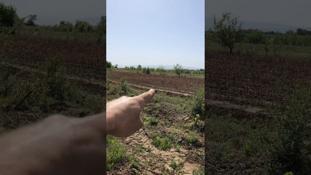 Сельское хозяйство в Казахстане #2
