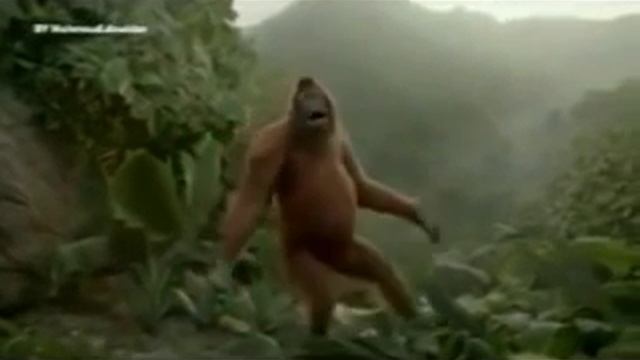 Туған кунге тарту
