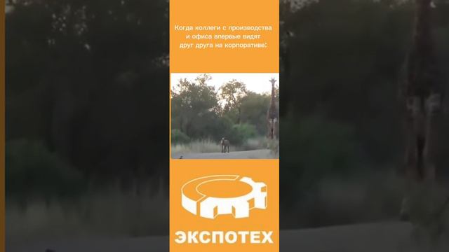 Коллеги впервые видят друг друга..