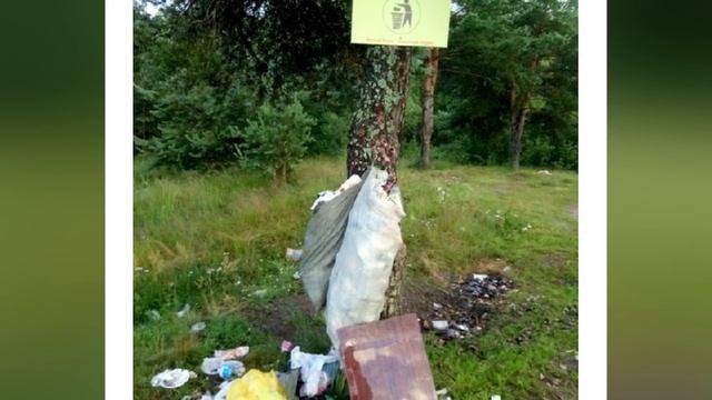 Мужчина очистил берег от мусора и установил таблички.То, что произошло потом шокировало его!