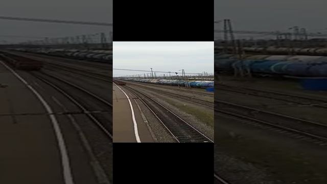 VID-20230330-WA0013.mp4.Тихорецк