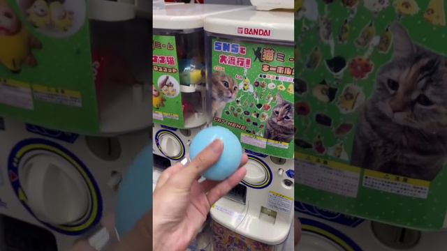 В Японии поставили гача-аппараты, в которых можно получить рандомного мемного кота