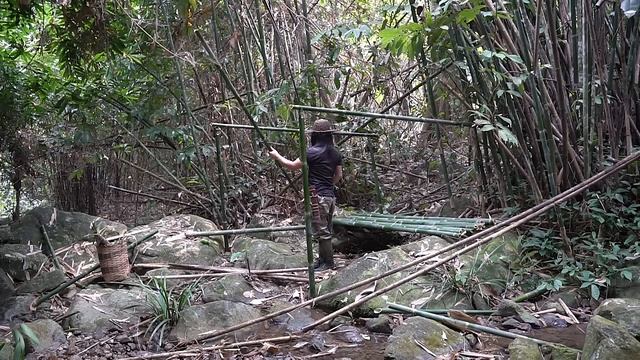 Bamboo Overnight Shelter, Fish Trap, Bamboo shoots: Survival Alone | EP.228