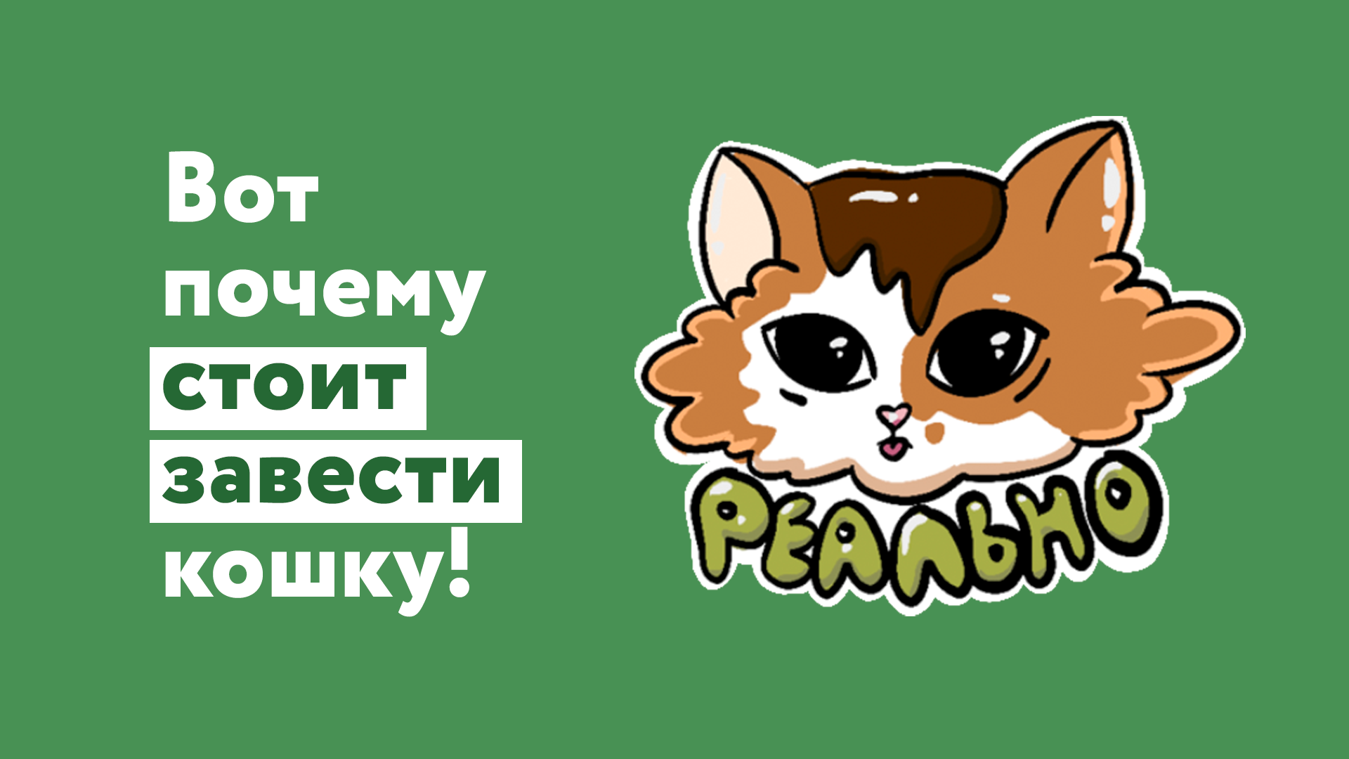 Вот почему тебе стоит завести кошку!