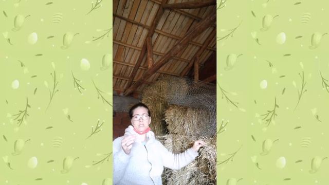 ФЕРМЫ В ТУРЦИИ финансовая поддержка и выплаты от государства.