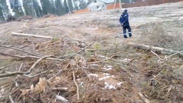 Гуляем. ? ?Смотрим цены на ламинат.