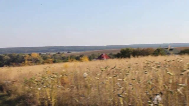 Осінні краєвиди.