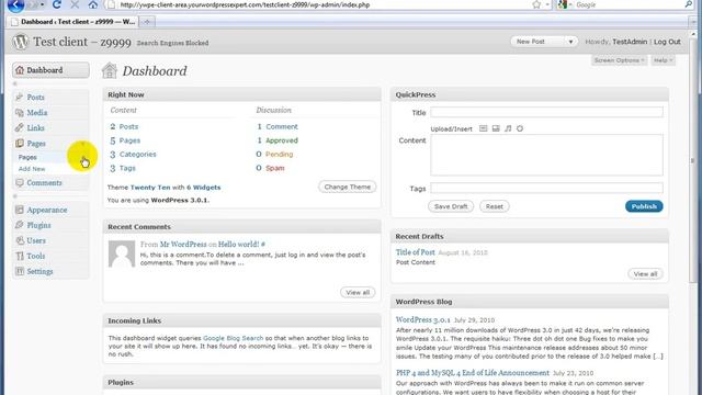 WordPress Tutorial: Tour of the Admin Panel - Pages