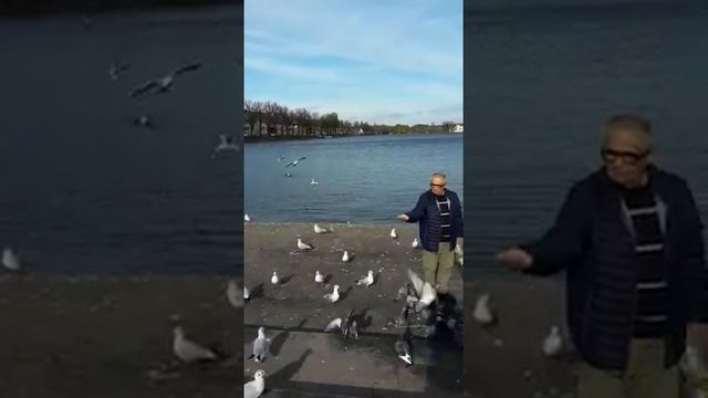 Любите птиц