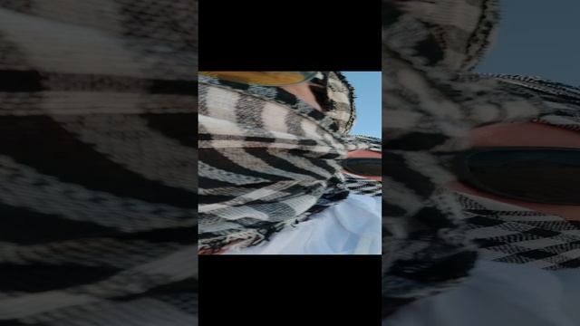 Без названия