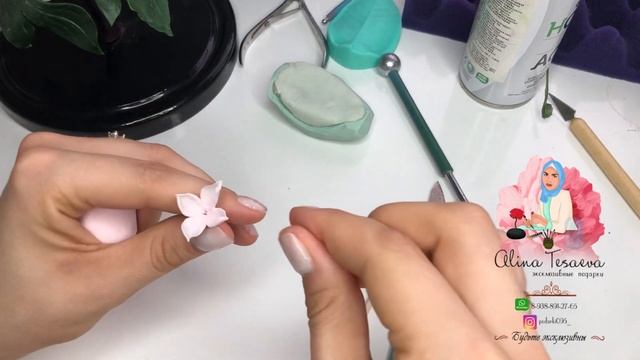 Советы для начинающих/о холодном фарфоре/с чего начать/делаю пион из холодно фарфора/тонировка