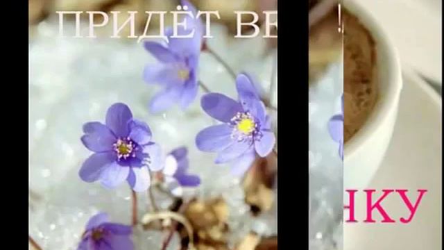 ВИРТУАЛЬНЫМ ДРУЗЬЯМ ПОСВЯЩАЕТСЯ!