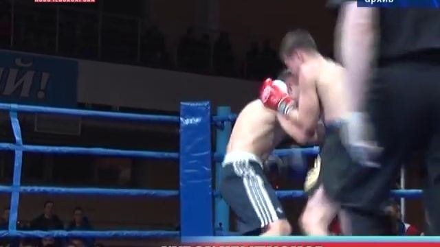 Состоится ежегодный профессиональный турнир единоборств «Кубок Чемпионов»