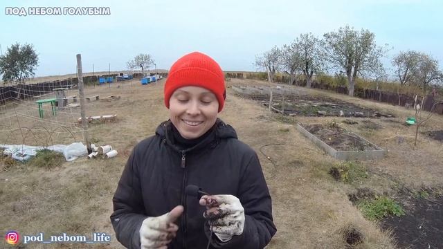 Подняли пристройку // Гнёзда курам из ОСП // Подкормка пчёл
