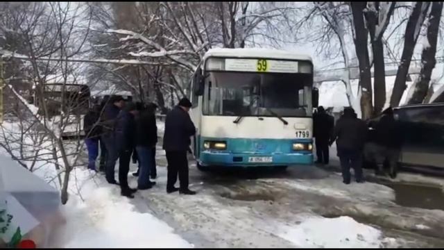 Первый "неожиданный" снег. г.Алматы (бурундай)