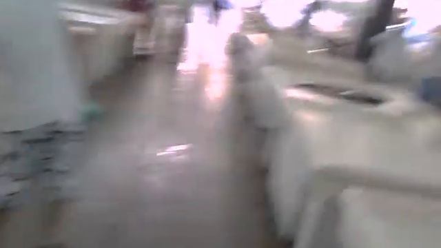 dubai fishmarket.