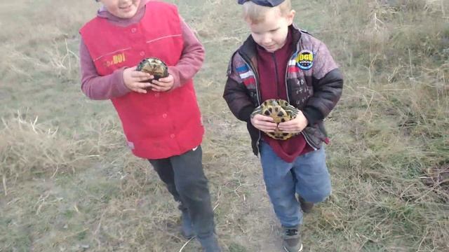Отпускаем черепах в пруд. Часть 3.