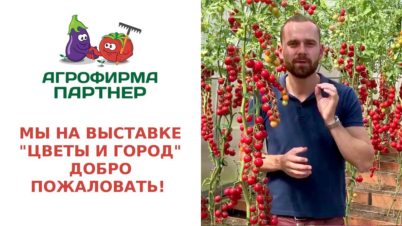 МЫ НА ВЫСТАВКЕ "ЦВЕТЫ И ГОРОД". ДОБРО ПОЖАЛОВАТЬ!