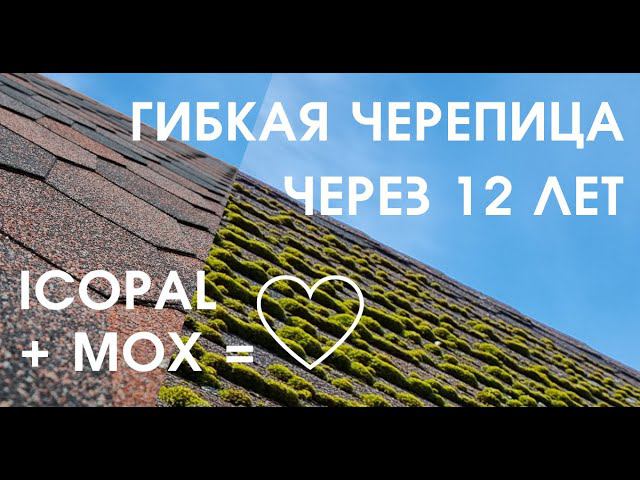 Гибкая черепица через 12 лет: мох на крыше, протечка? Лучшая кровля для дома: Мягкая черепица Icopal