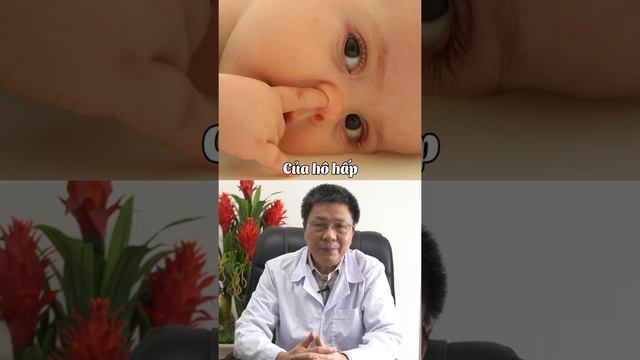 MOT SO DAU HIEU TRE BI DI UNG SUA CONG THUC