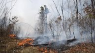 В Приамурье за нарушения правил пожарной безопасности составили 700 протоколов на сумму в 2 миллиона