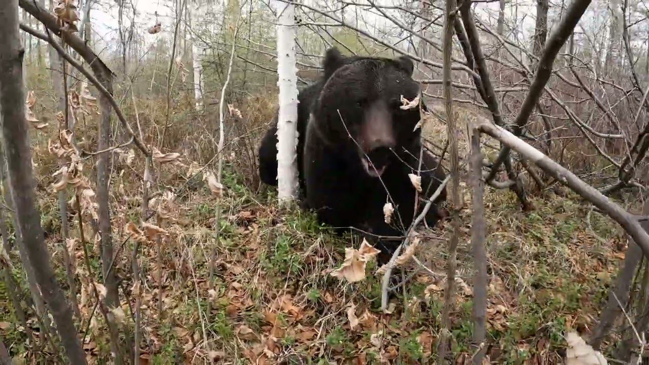 Не виноватый я, сама зашла.