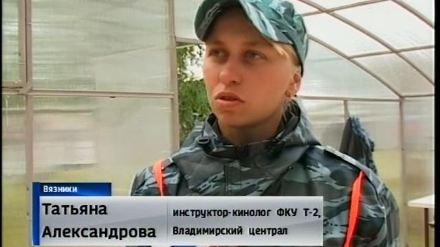 Самая умная собака