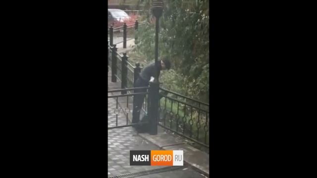 Тюменец ловит уток на крючок и леску в городском пруду