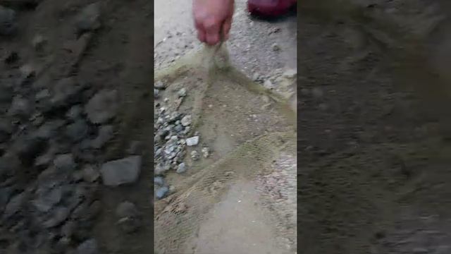 находки в николаеве C Quest X5