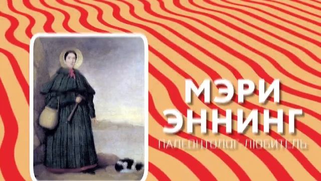 В Океане Нашли Животное в 100 Раз Страшнее Мегалодона