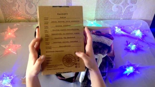 Обзор на Кота БасикаReview a cat Basik