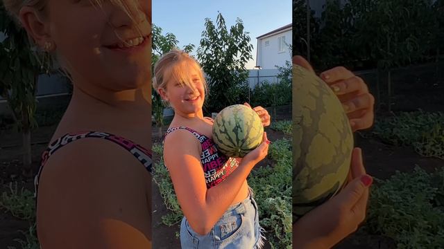 Собрали с внучкой  немного урожая! Скучаю❤️ #краснодар #арбуз #виноград