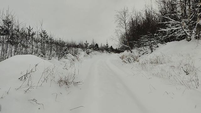 Снежный плен. Зимняя ночёвка в лесу на автодоме.