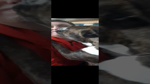 20231014_111828.mp4