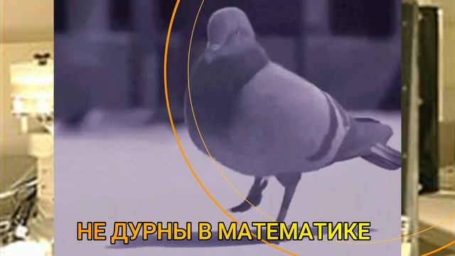 Голуби