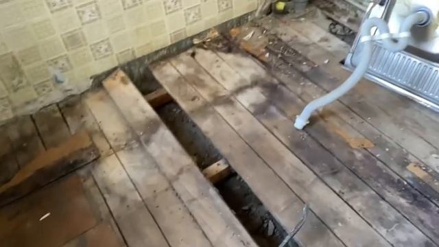 Купил квартиру в старинном доме, начинаю ремонт. Поднял полы на кухне, показываю что было под полом
