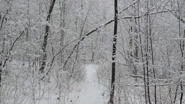 Падает пушистый снег в конце апреля, Fuzzy snow falls in late April