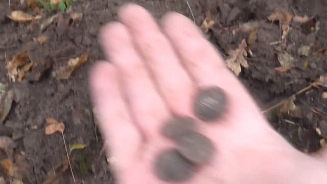 На старой ЖД станции нашел ПИСТОЛЕТ!!! Осенний коп и рассыпуха  пуговиц.
