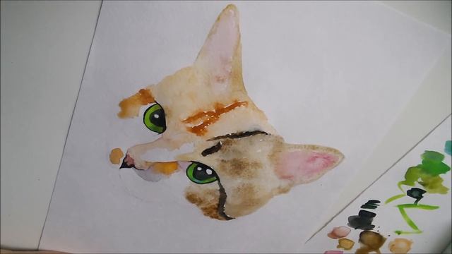 CHERNIKA ART рисунок акварелью - кошка Марго/watercolor Cat 4