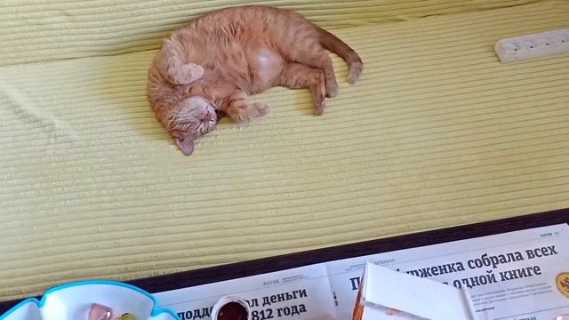 ?️ Холодный ОКТЯБРЬ, дома тепло?делаю ЧАЙНЫЙ ДОМИК и ПОДСТАВКУ под фломастеры
