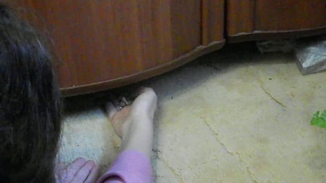 Приручение строптивого)))