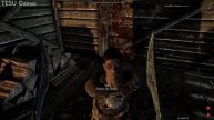 What Happens If you Come to Astrid Yourself Skyrim Anniversary