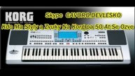 KORG PA 50 STYLE