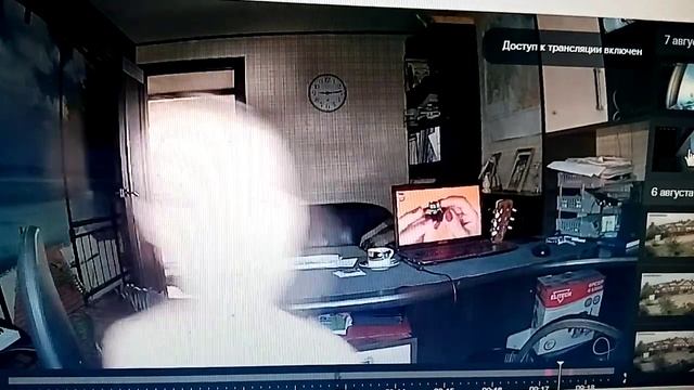 позирование перед камерой - умный дом