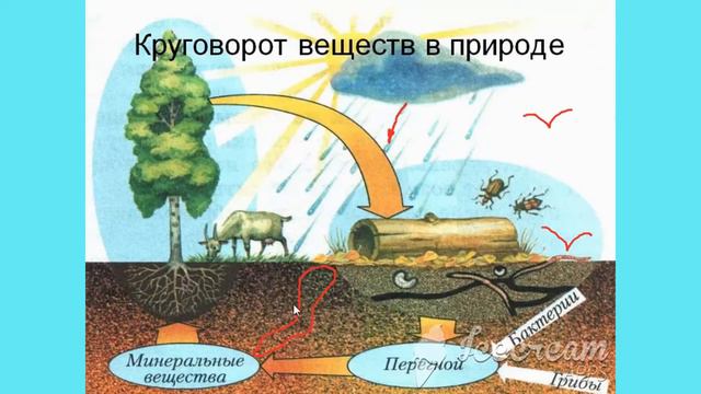 10. Как ЖИТЬ СЧАСТЛИВО и НЕ БОЛЕТЬ?! ВОЗМОЖНО ЛИ ЭТО? КРУГОВОРОТ ЛЮДЕЙ В ПРИРОДЕ! Продолжим...