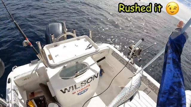 The secret to catching deep holding fish! (catch & clean)